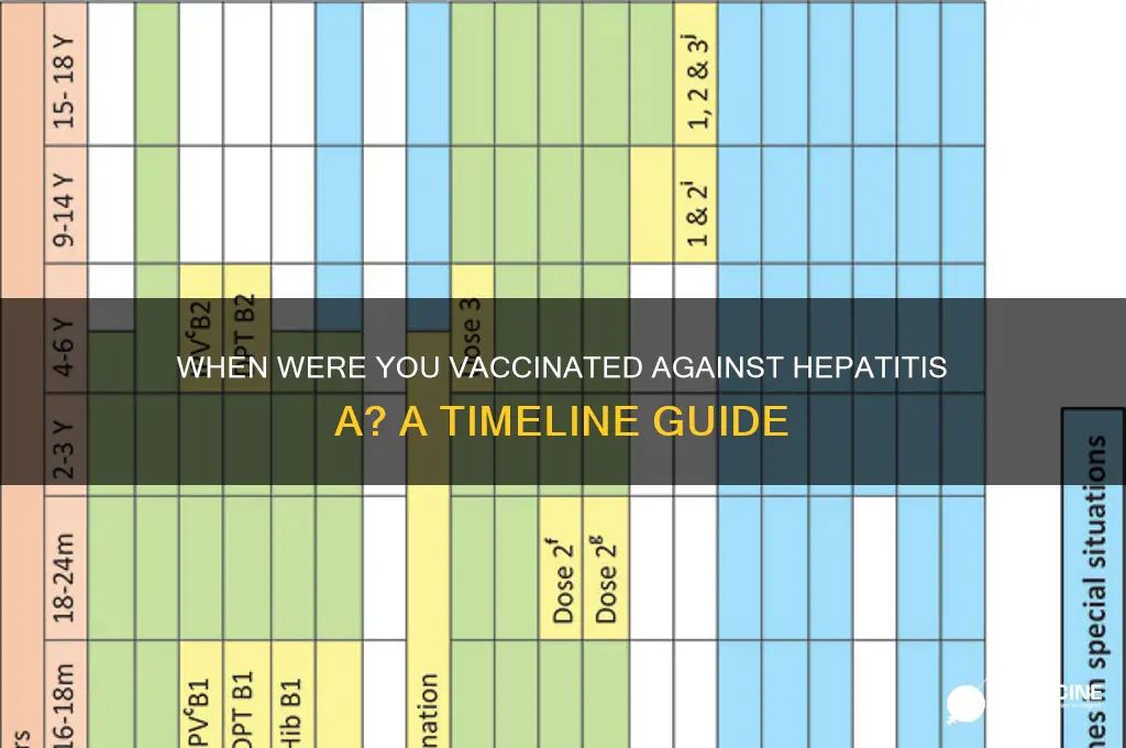 when would i have been vaccinated against hep a