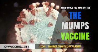 Understanding the Mumps Vaccine: When Should You Have Received It?