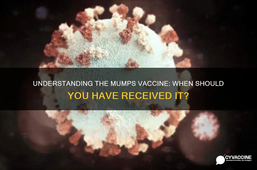 when would you have gotten the mumps vaccine