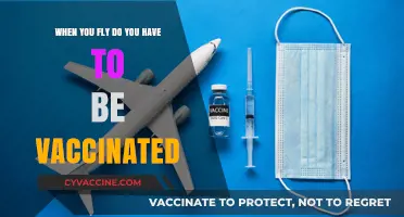 Flying Post-Pandemic: Are Vaccinations Mandatory for Air Travel?