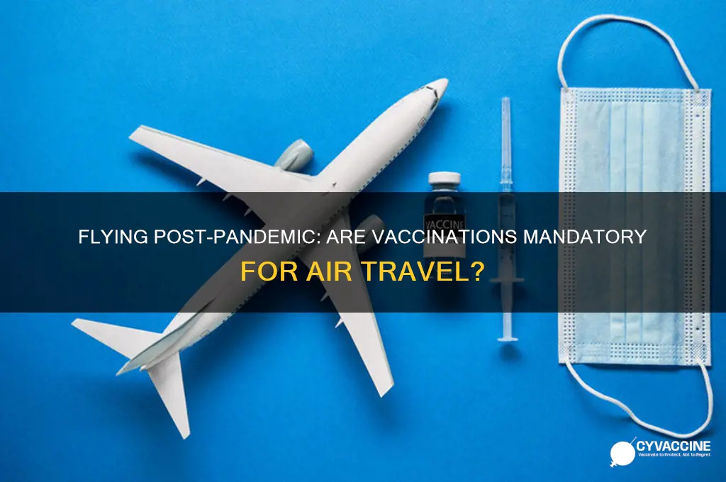when you fly do you have to be vaccinated
