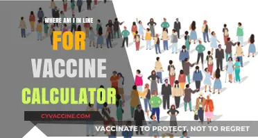 Track Your Vaccine Queue Position with This Handy Calculator Tool