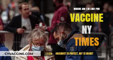 Tracking Your Vaccine Queue Position: NY Times Updates & Insights