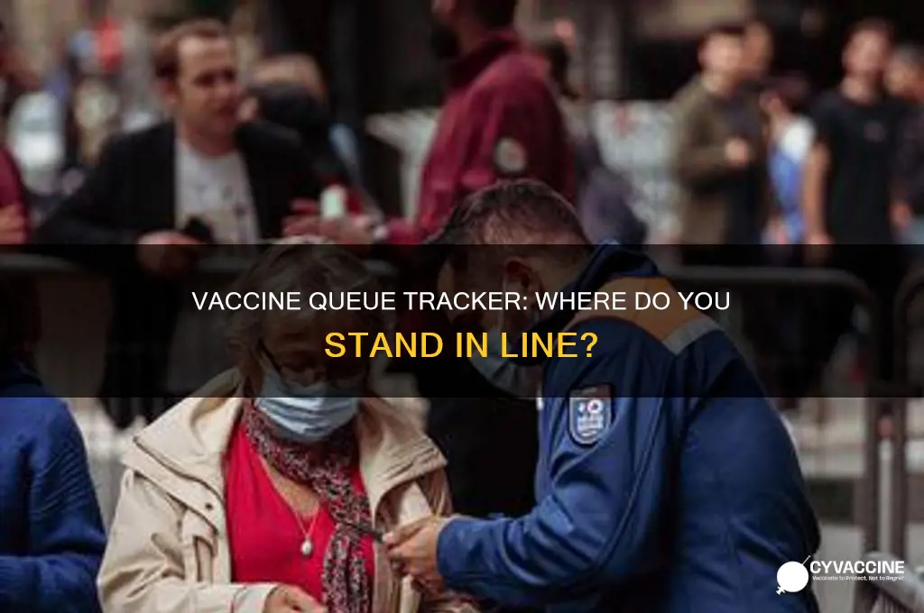 where am i in the queue for the vaccine