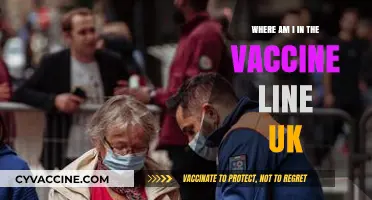 UK Vaccine Rollout: Your Place in the Queue Explained