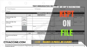 Where Are Hep B Vaccination Records Stored? A Comprehensive Guide