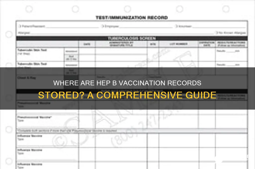 where are hep b vaccinations kept on file