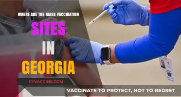 Georgia's Mass Vaccination Sites: Locations and Accessibility Guide