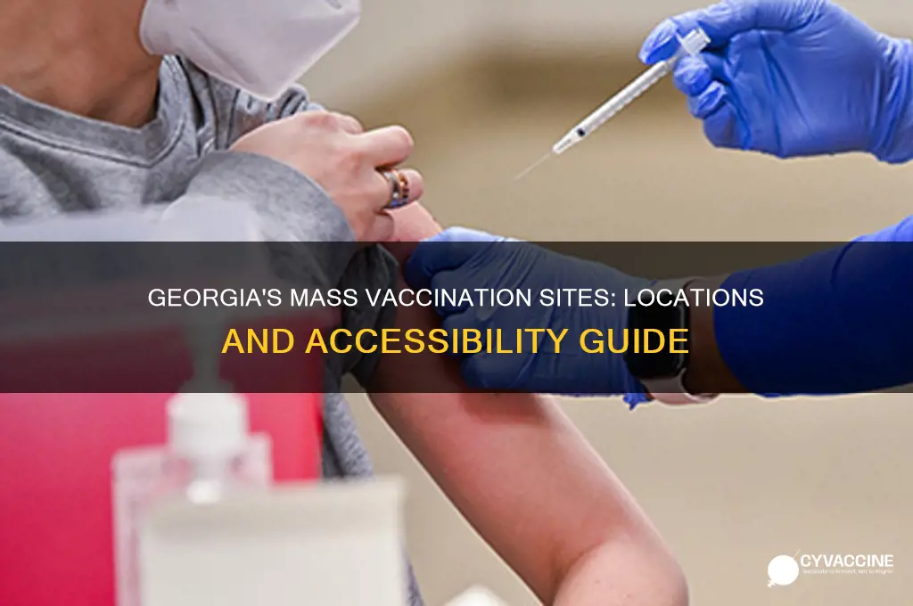 where are the mass vaccination sites in georgia
