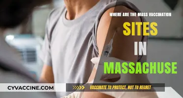Massachusetts Mass Vaccination Sites: Locations and Accessibility Guide