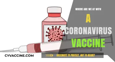 Coronavirus Vaccine Progress: Current Status, Challenges, and Hopeful Horizons