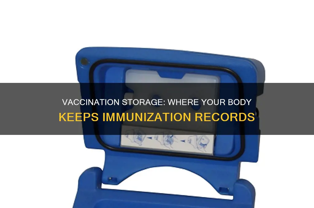 where are your vaccinations stored in your body