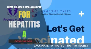 1950s Hepatitis A Vaccination: Protecting Children in a Changing World