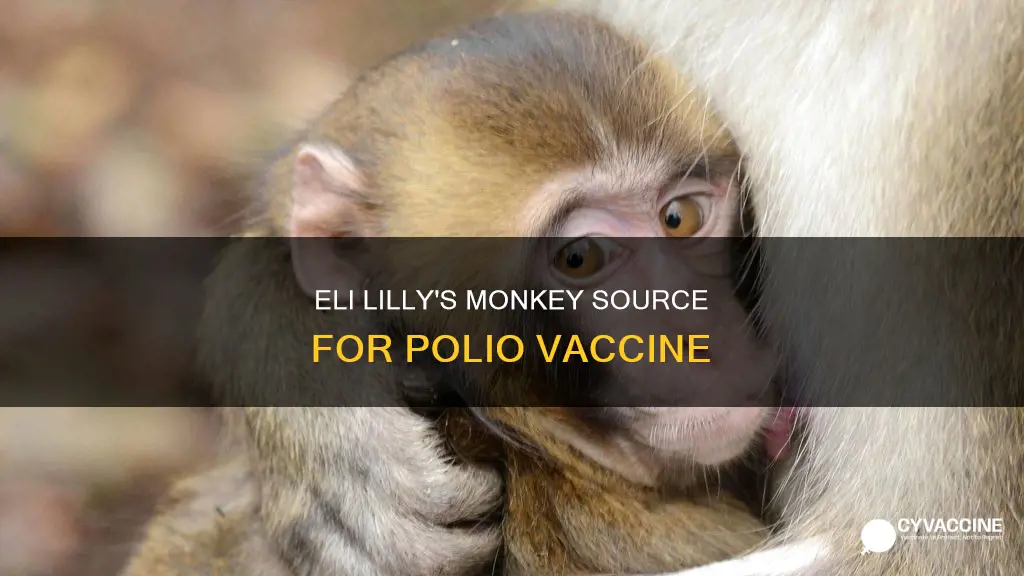 where did eli lilly