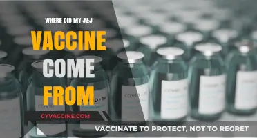 Tracing the Origins of My J&J COVID-19 Vaccine: A Supply Chain Journey