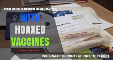 Unveiling the DNA Collection Myth: Debunking Vaccine Conspiracy Theories