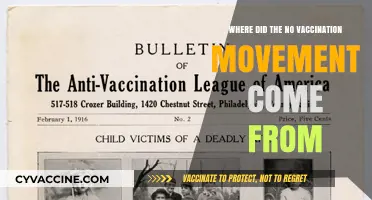 The Origins of the Anti-Vaccination Movement: A Historical Perspective