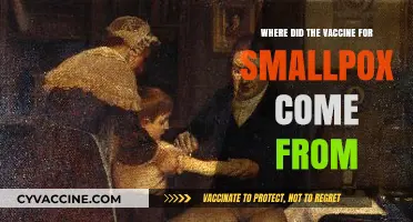 The Origins of the Smallpox Vaccine: A Historical Breakthrough