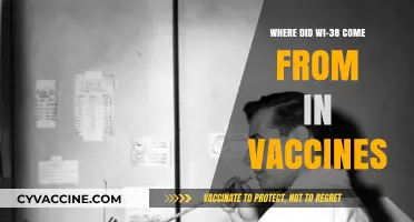 The Origin of WI-38: Unraveling Its Role in Modern Vaccines