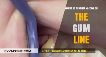 Dentists' Vaccine Application: Understanding Gum Line Injections and Benefits
