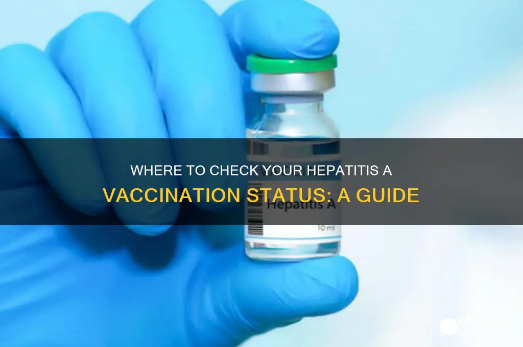 where do i check on my hep a vaccination
