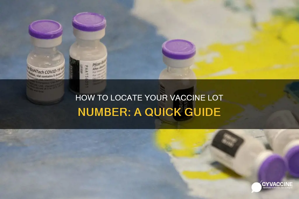 where do i find a lot number for a vaccine