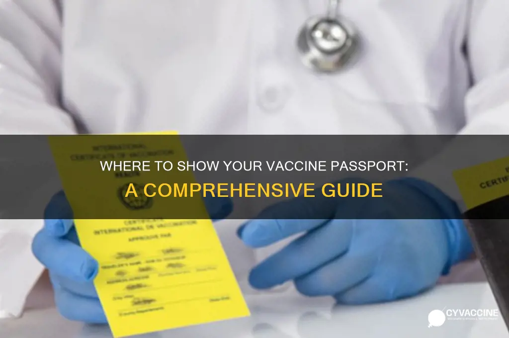 where do i have to show my vaccine passport
