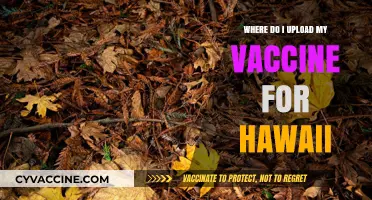 How to Upload Your Vaccine Proof for Hawaii Travel: A Guide