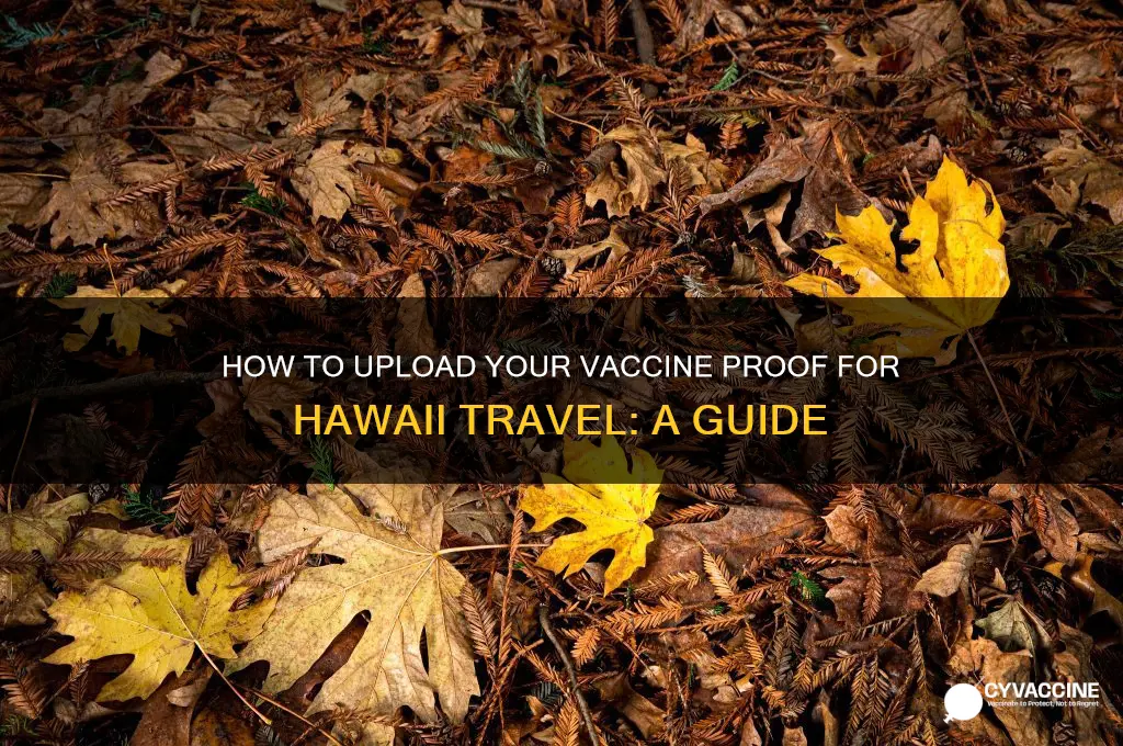 where do i upload my vaccine for hawaii