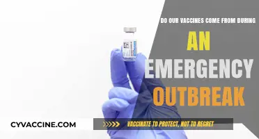 Emergency Vaccine Supply: Tracing the Rapid Response to Outbreaks
