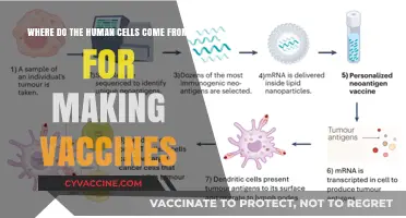 Origins of Human Cells in Vaccine Production: A Detailed Exploration