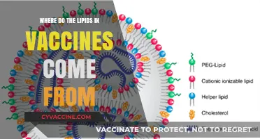 Unveiling the Origins of Lipids in Vaccines: A Comprehensive Guide