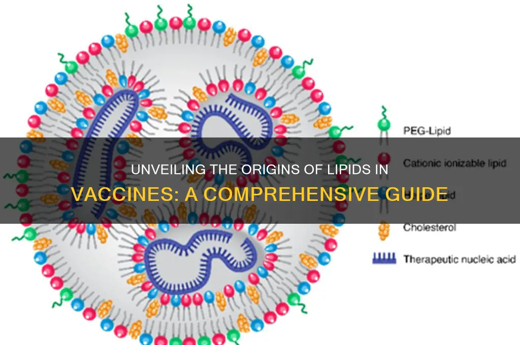 where do the lipids in vaccines come from