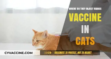 Where to Inject Rabies Vaccine in Cats: A Quick Guide