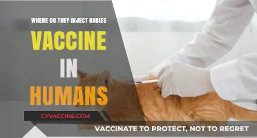 Rabies Vaccine Injection Site in Humans: What You Need to Know