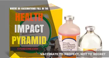 Vaccinations' Role in the Health Impact Pyramid: Prevention Power