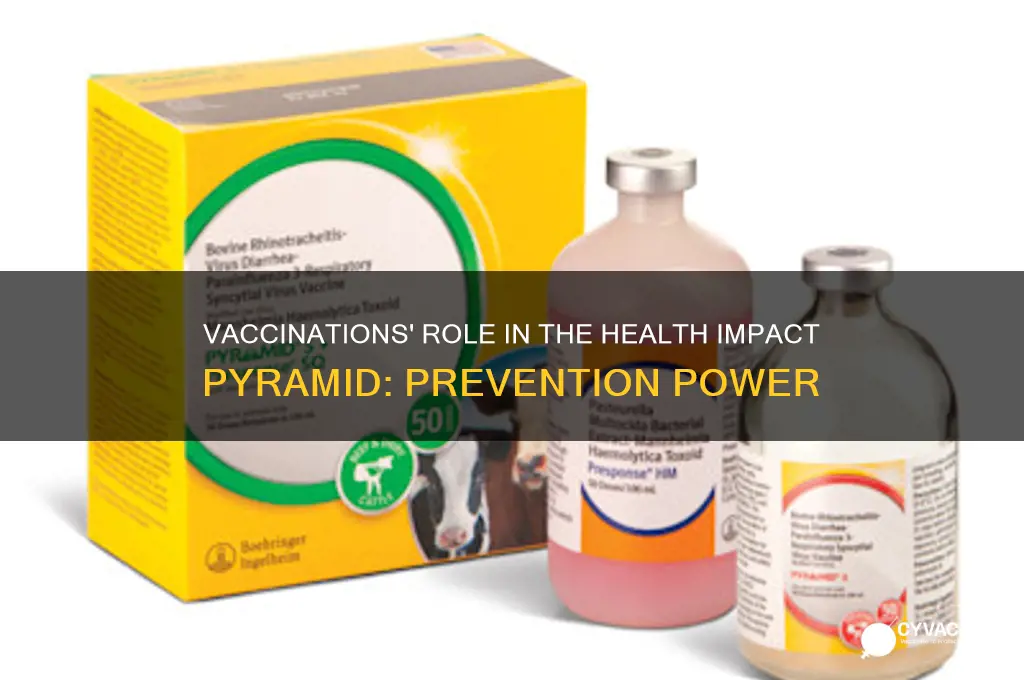 where do vaccinations fall in the health impact pyramid