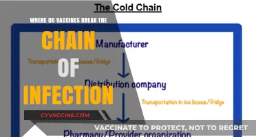 How Vaccines Disrupt the Chain of Infection: A Comprehensive Guide