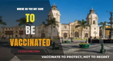 Unvaccinated Travel: Countries and Places Without Vaccine Requirements