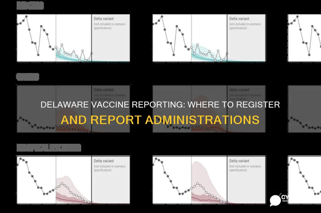 where do you register to report vaccine administrations in delaware