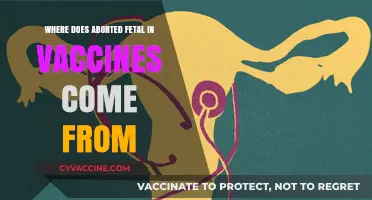 Aborted Fetal Cells in Vaccines: Origins and Ethical Considerations