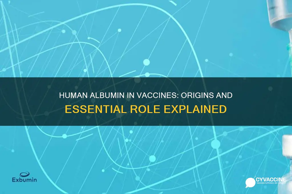where does human albumin come from for vaccines