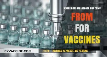 Unveiling the Origin of Messenger RNA in Modern Vaccines