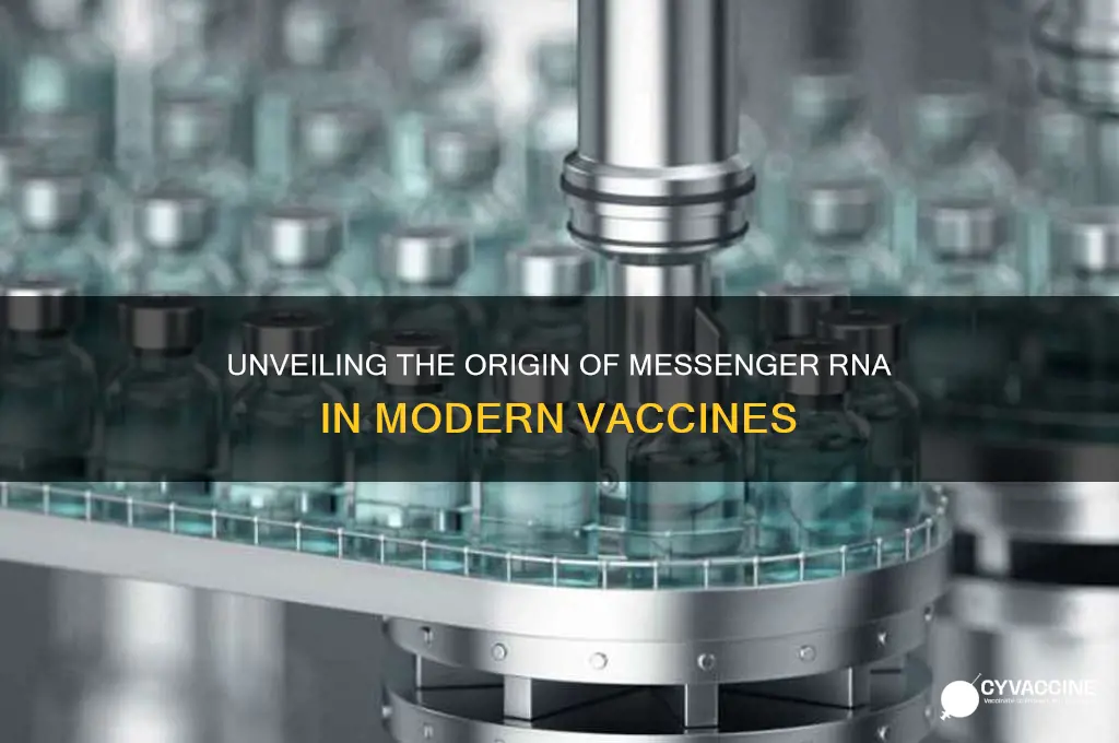 where does messenger rna come from for vaccines