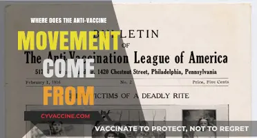 Tracing the Roots of the Anti-Vaccine Movement: A Historical Perspective