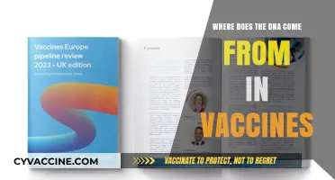 Unraveling the Source: Where Does DNA in Vaccines Originate?