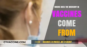 Unveiling the Source: Tracing Mercury in Vaccines' Origins