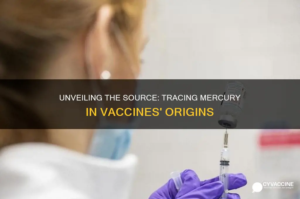 where does the mercury in vaccines come from