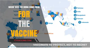 Unveiling the Origin: mRNA's Journey in COVID-19 Vaccines Explained
