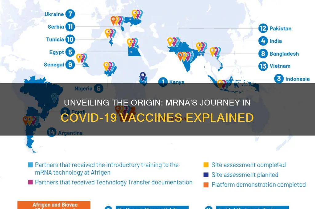 where does the mrna come from for the vaccine